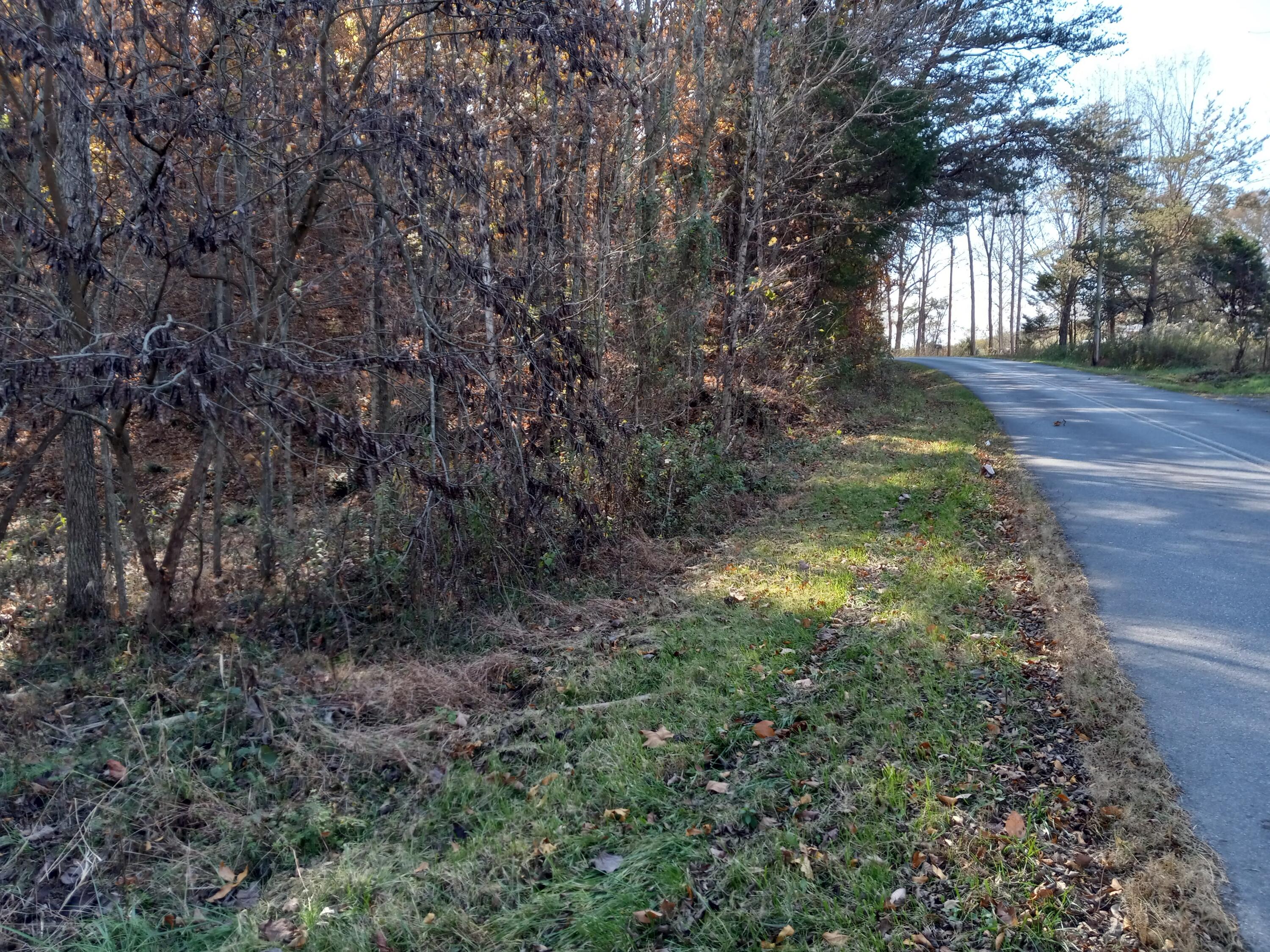 353 Bill West Road, Unit TR4 Limestone, TN 37681 - Photo 31 of 32 20231107_113812
