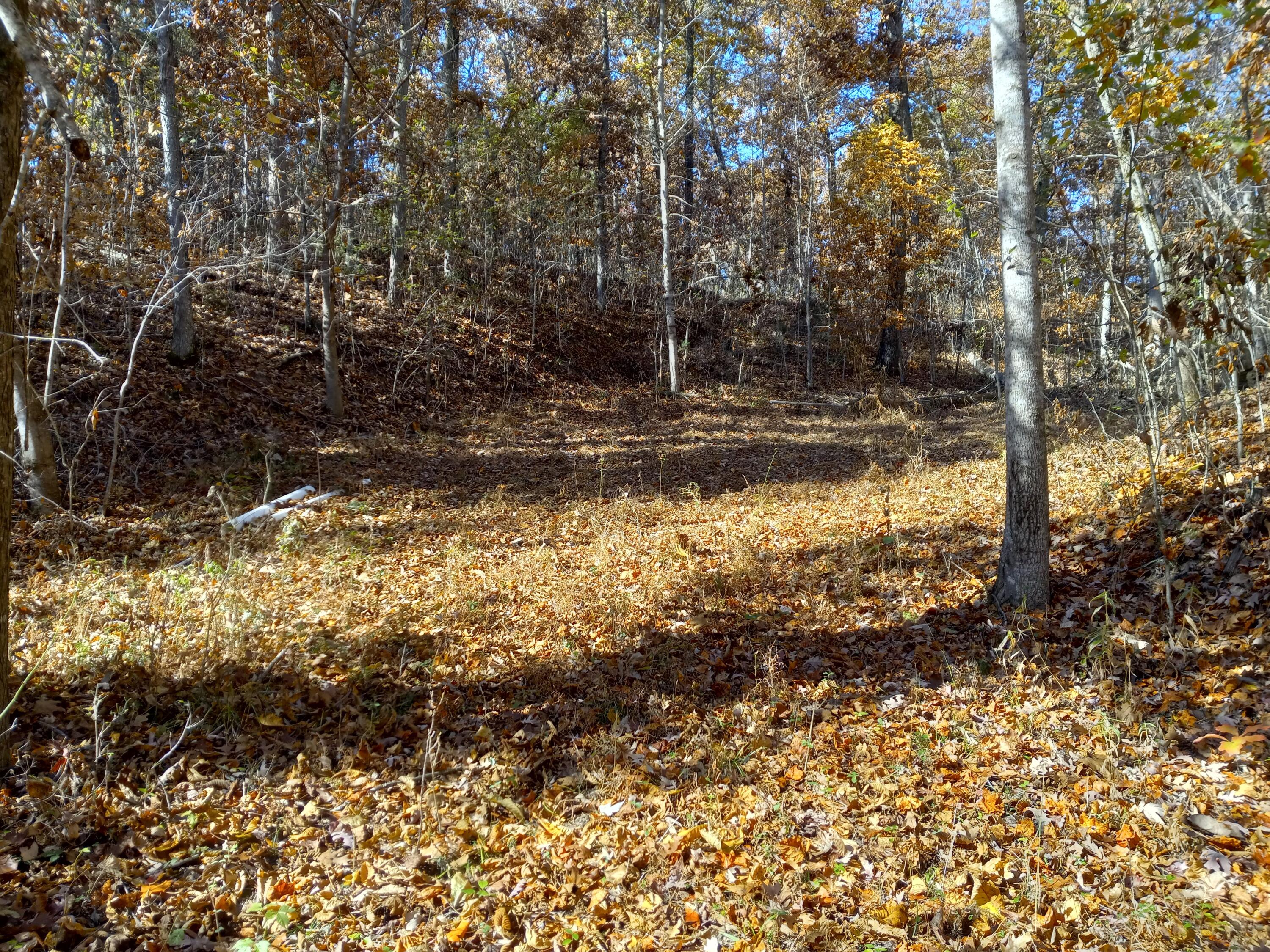 353 Bill West Road, Unit TR4 Limestone, TN 37681 - Photo 4 of 32 20231103_113035