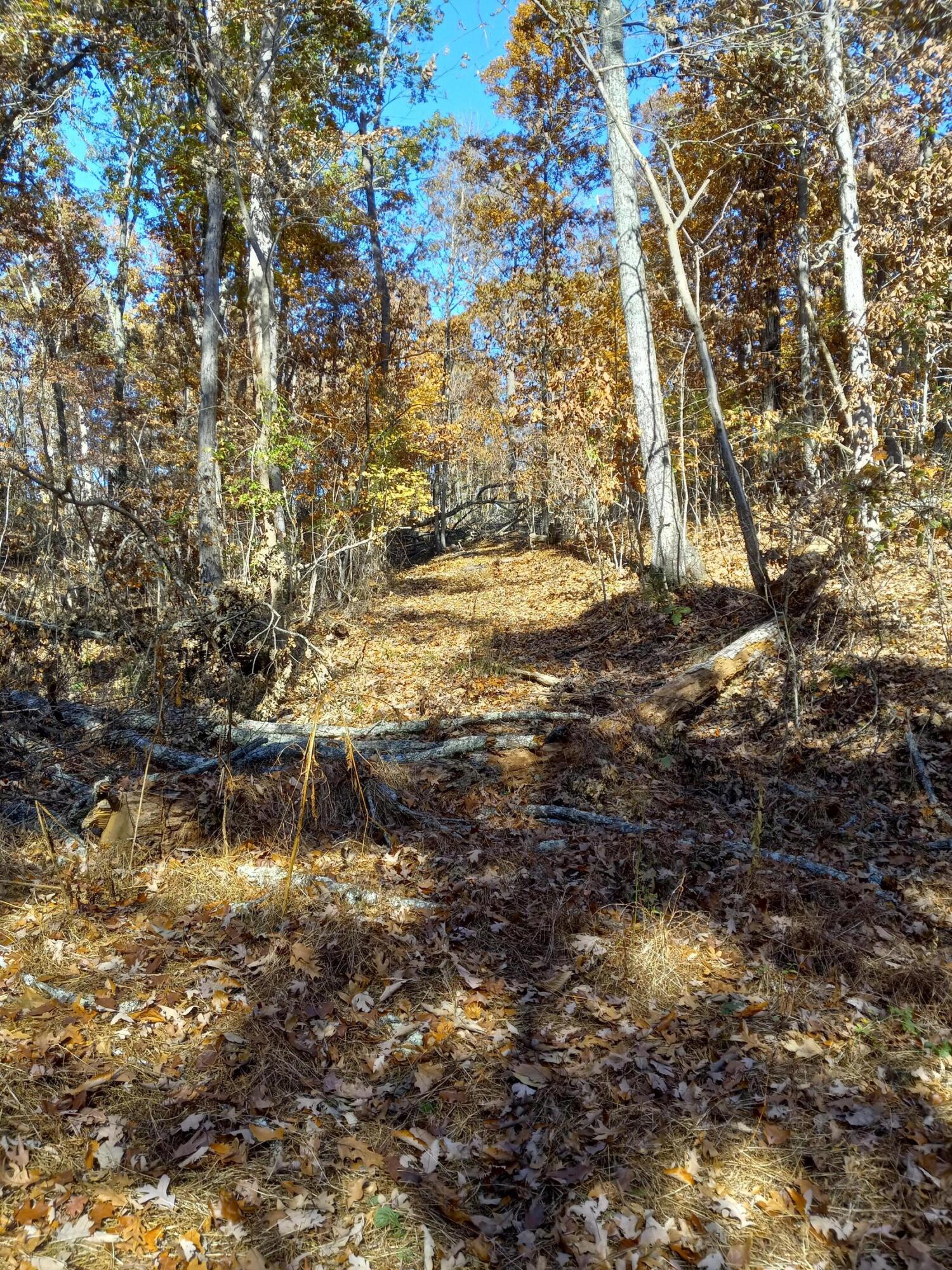 353 Bill West Road, Unit TR4 Limestone, TN 37681 - Photo 8 of 32 20231103_113304