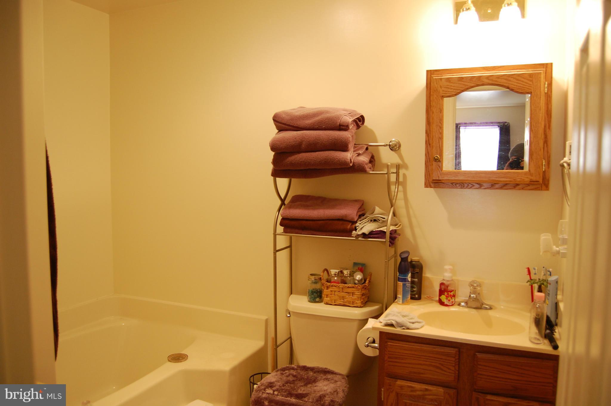 11747 Cash Smith Road Keymar, MD 21757 - Photo 13 of 14 a bathroom with a sink and a mirror