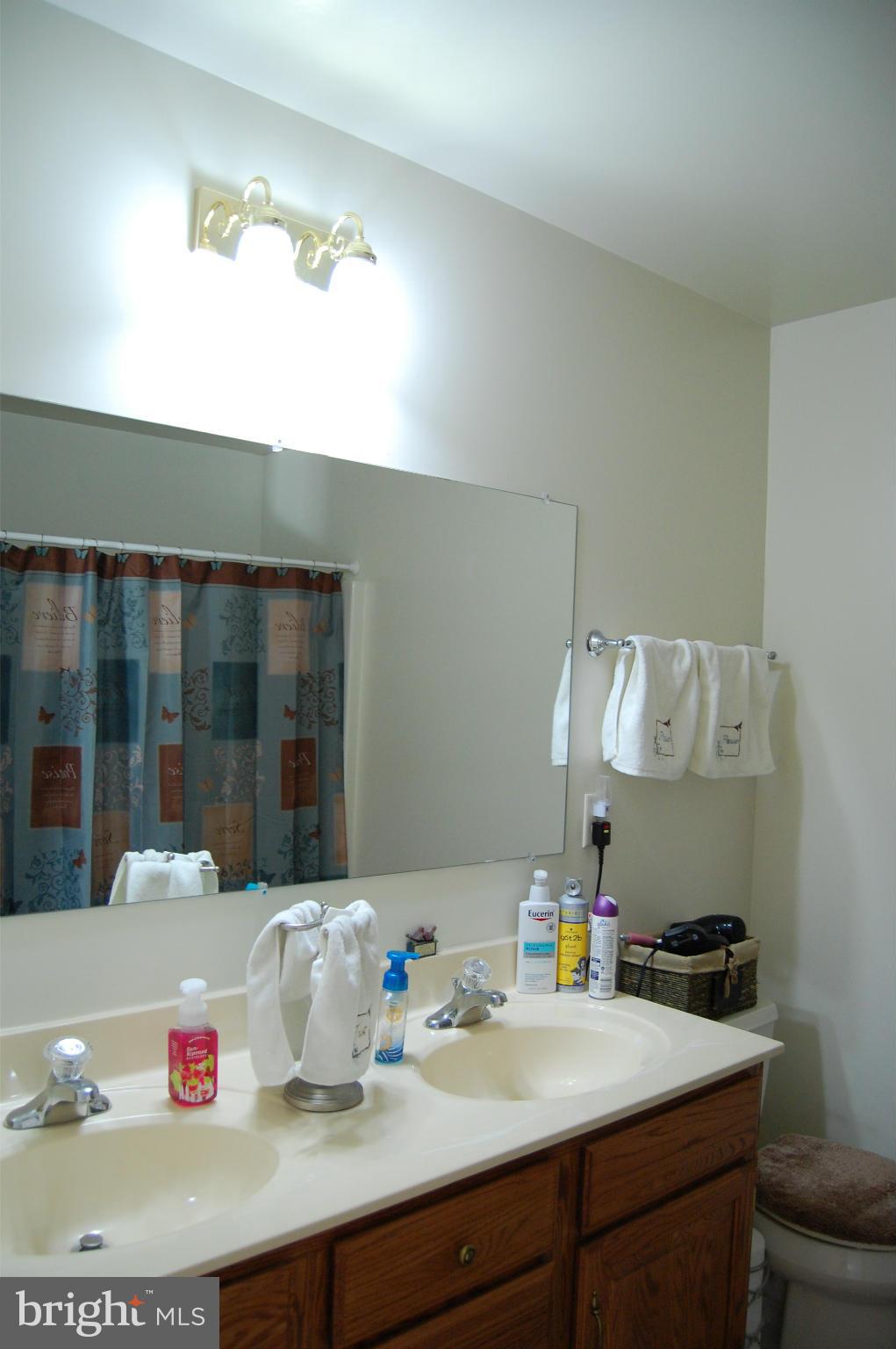 11747 Cash Smith Road Keymar, MD 21757 - Photo 8 of 14 a bathroom with a sink and a mirror