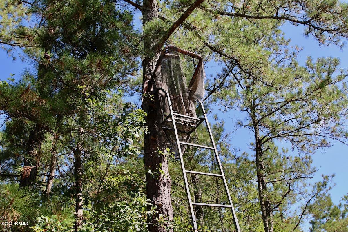 8915 River Road Vanceboro, NC 28586 - Photo 33 of 51 IMG_7693