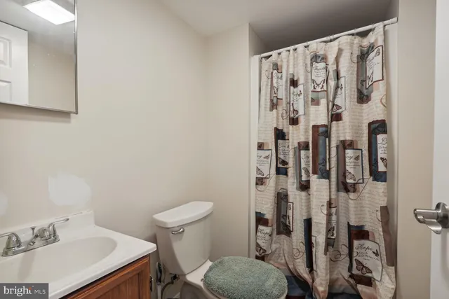 a bathroom with a sink and toilet