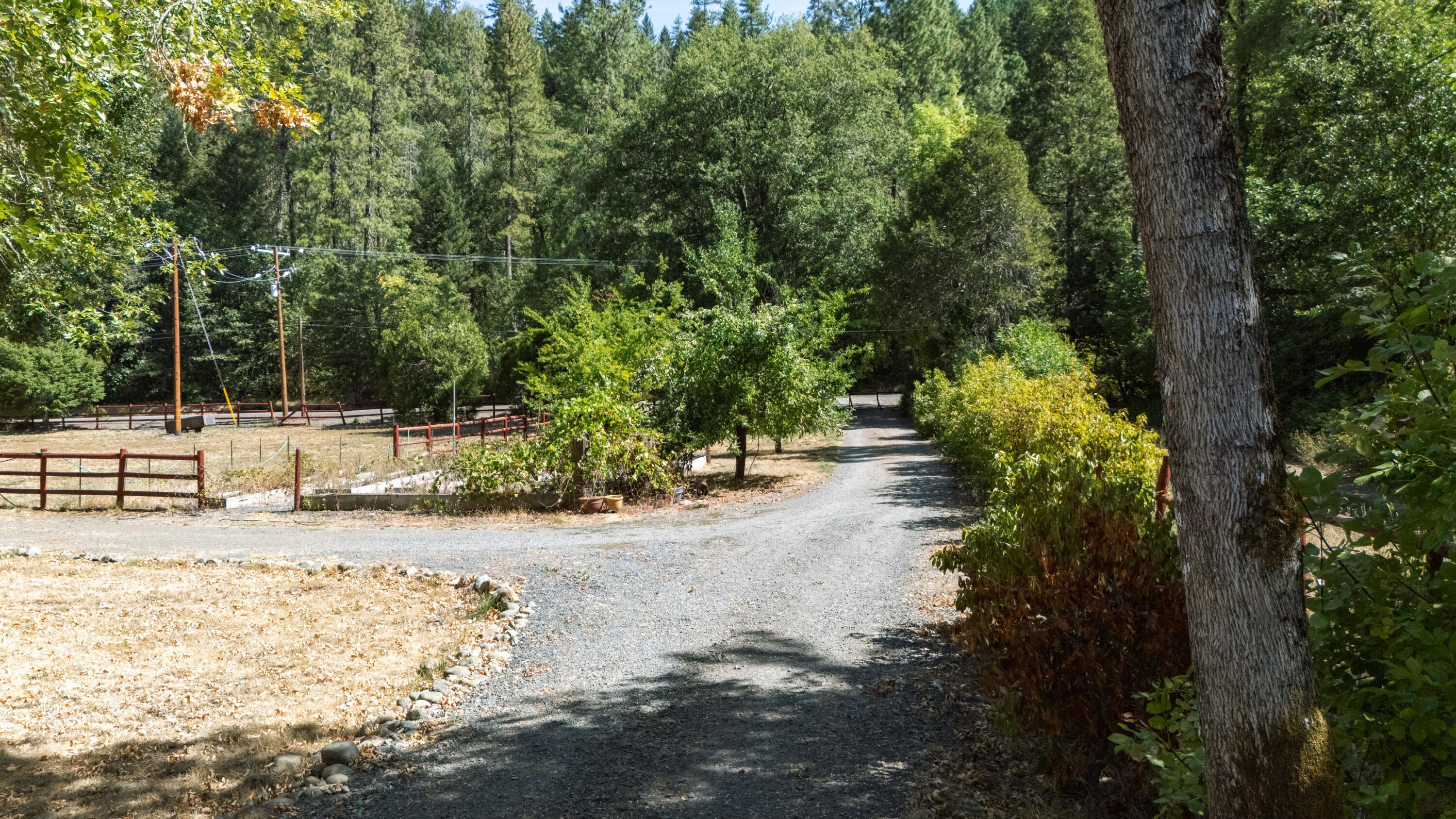 7354 Takilma Road Cave Junction, OR 97523 - Photo 25 of 30 driveway and pasture