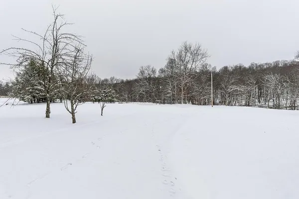 a view of covered with snow in front of house