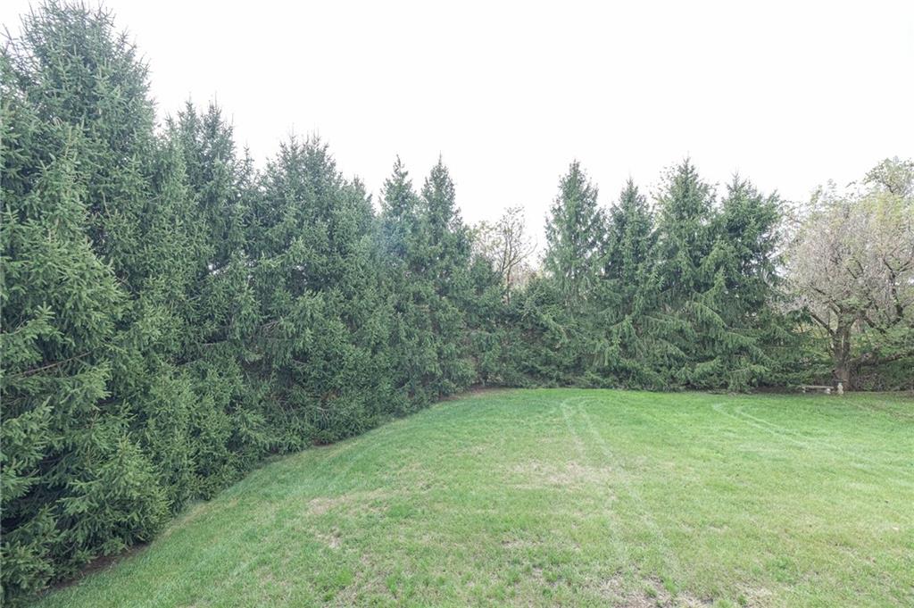 306 Georgetown Lane Export, PA 15632 - Photo 30 of 35 a view of a big yard with trees in the background