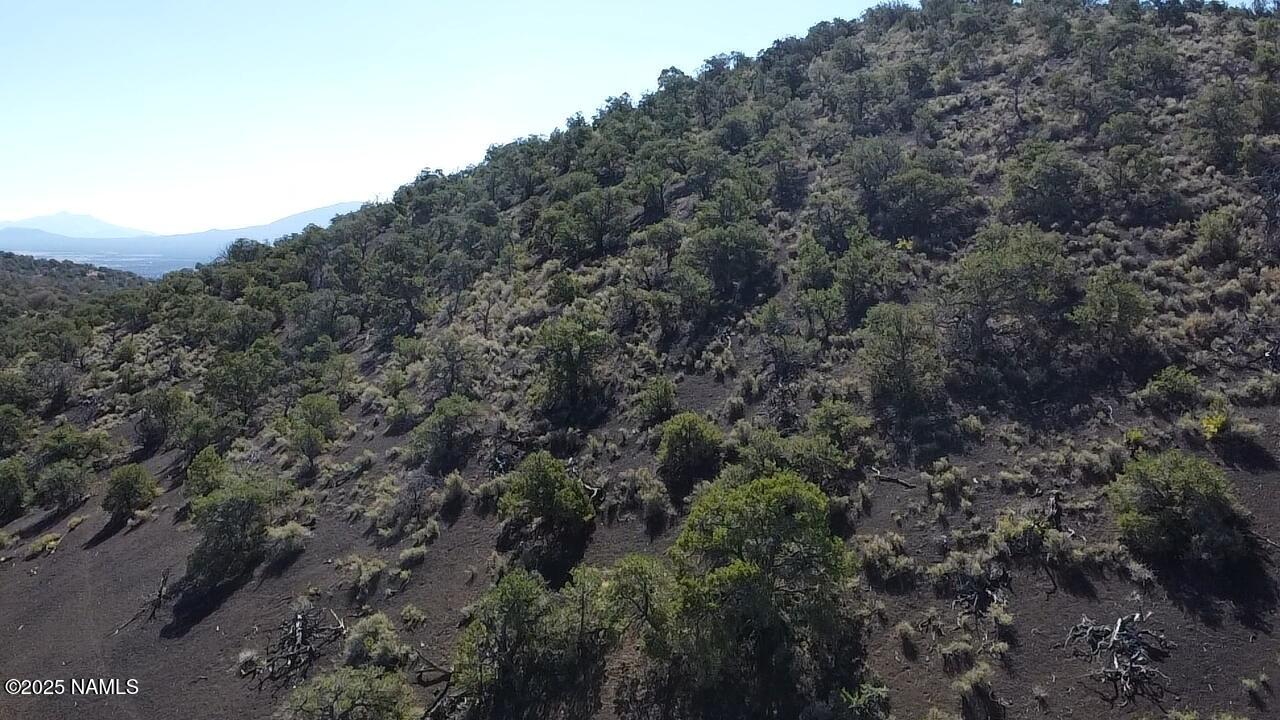 20202016 V No Name Road Williams, AZ 86046 - Photo 13 of 14 a view of a forest with trees in the background