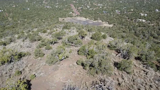 a view of a dry yard with lots of bushes