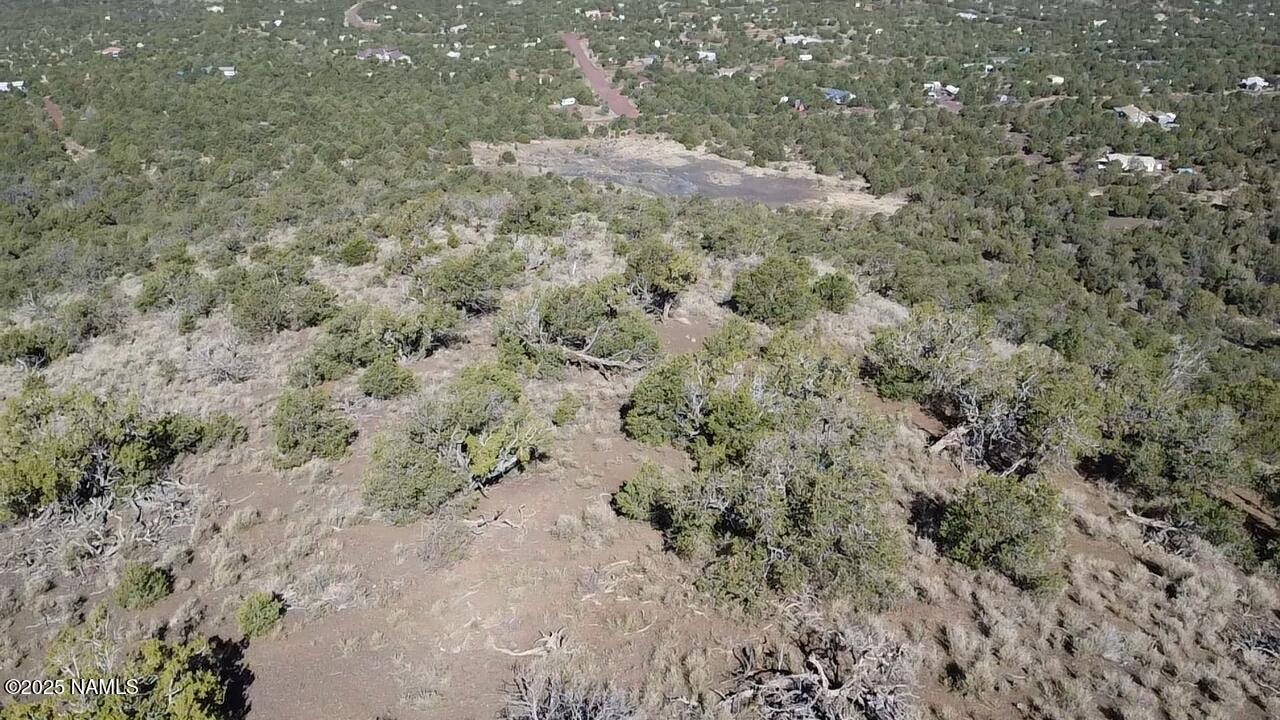 20202016 V No Name Road Williams, AZ 86046 - Photo 14 of 14 a view of a dry yard with lots of bushes