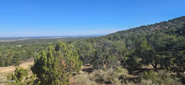 a view of a city with lush green forest