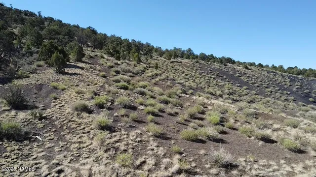a view of a field with trees in the background