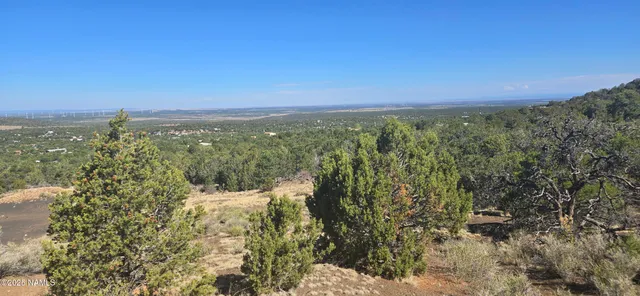 a view of a city with green space