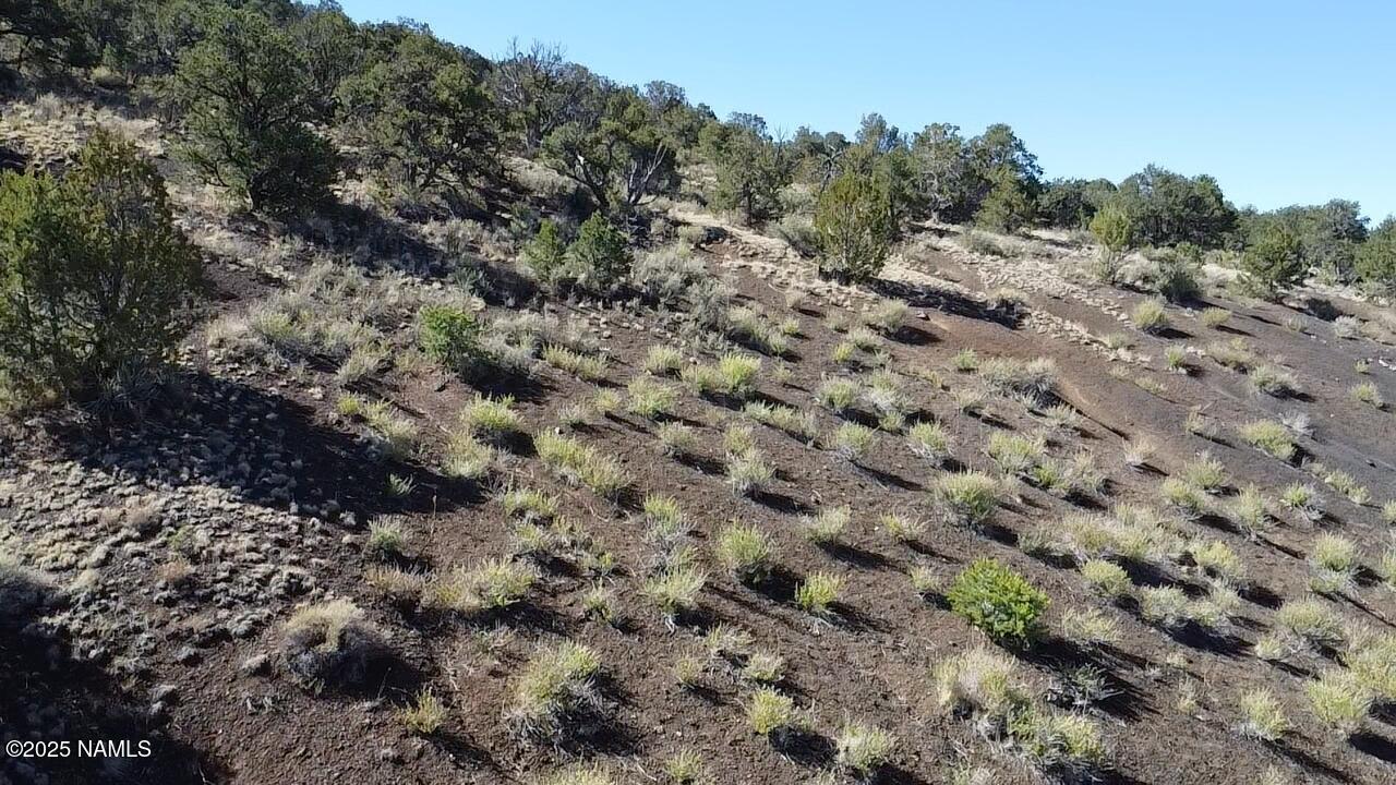 20202016 V No Name Road Williams, AZ 86046 - Photo 10 of 14 a view of a dry field with trees in the background