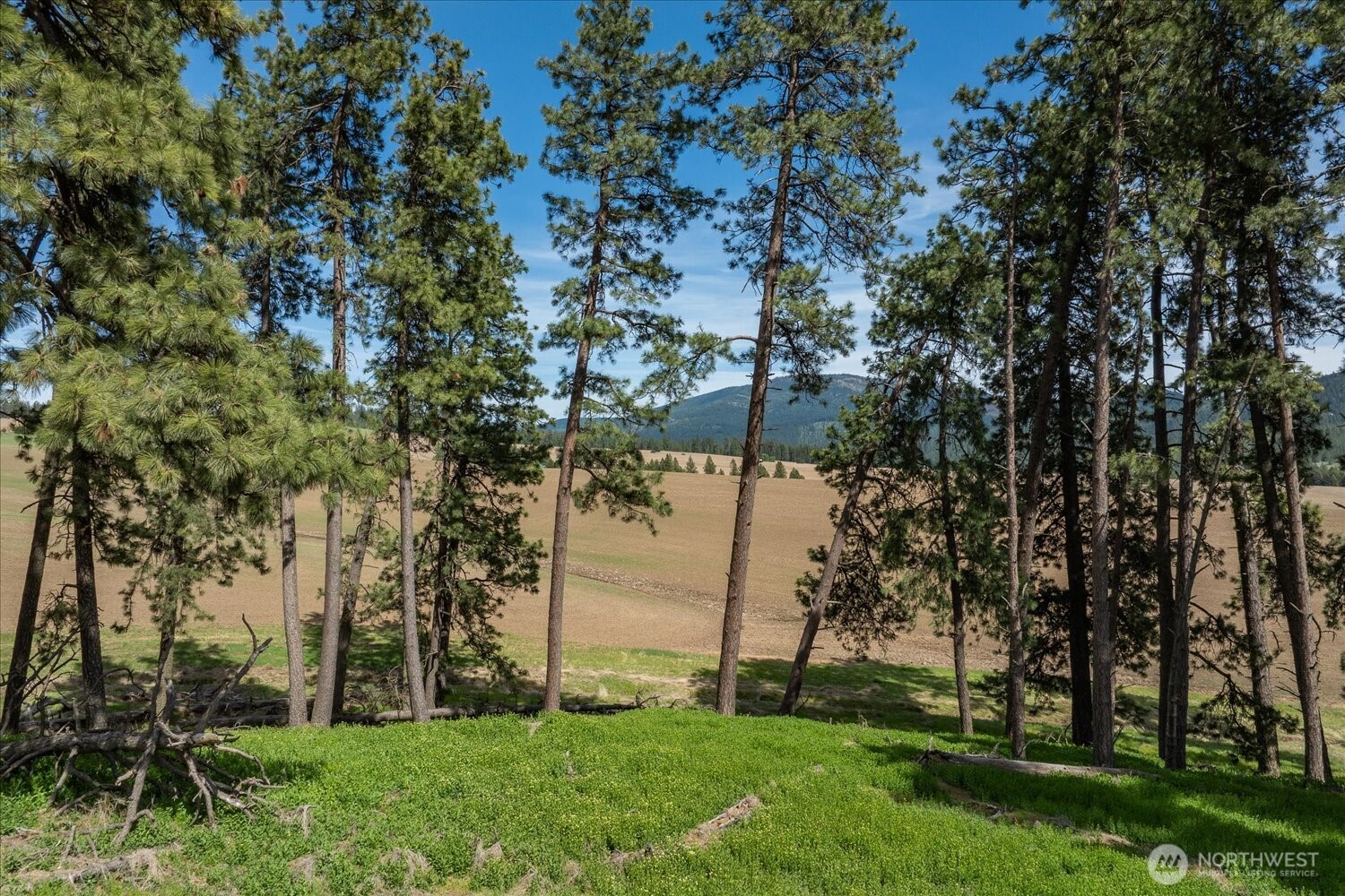 -xxx South Jackson Road, Unit LOT 17 Mica, WA 99023 - Photo 22 of 40 a view of a park