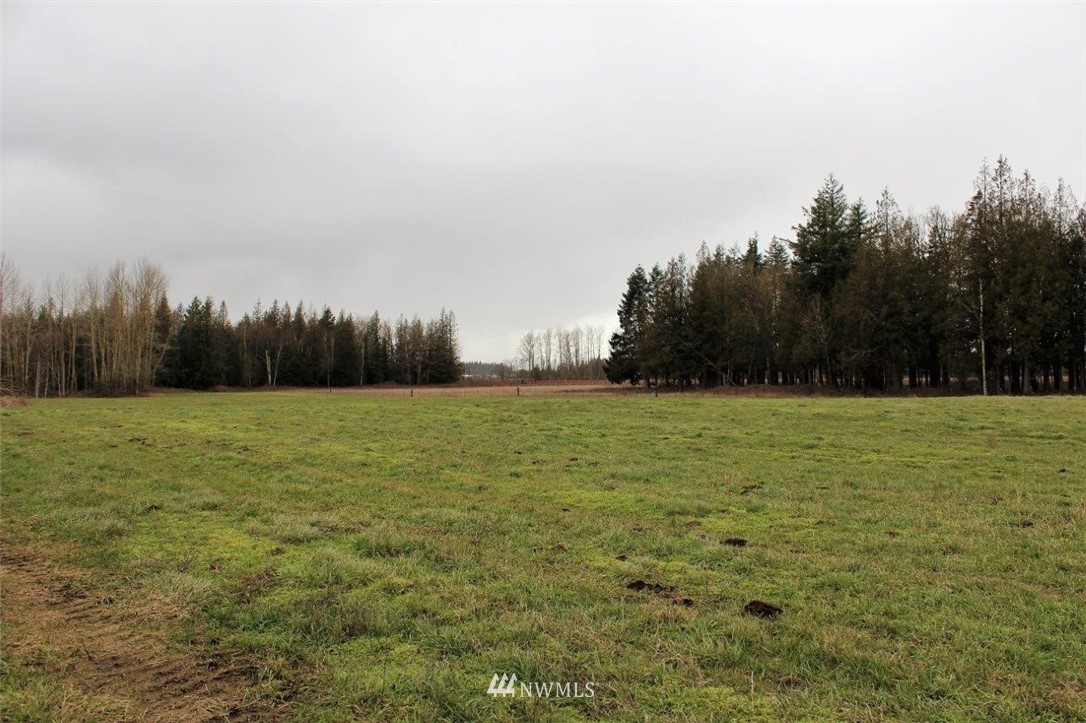 7771 Leibrant Road Everson, WA 98247 - Photo 11 of 12
