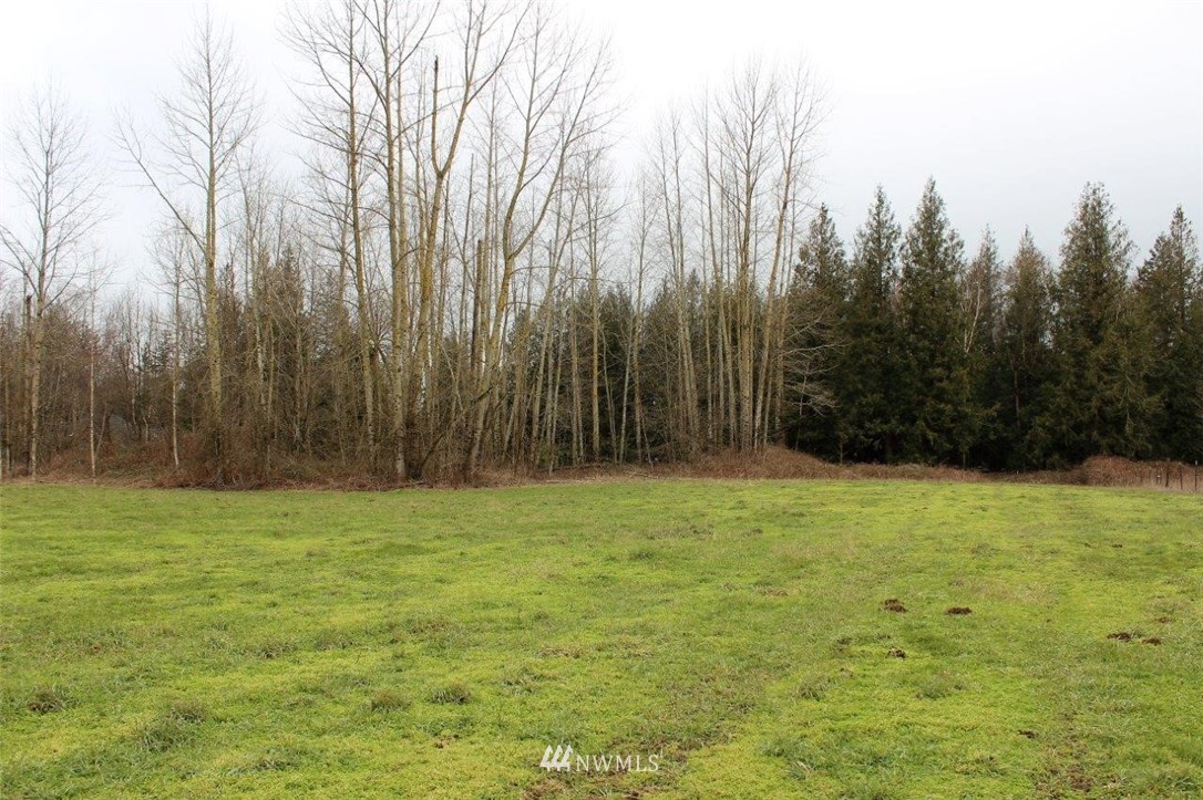 7771 Leibrant Road Everson, WA 98247 - Photo 3 of 12