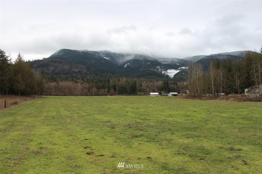 7771 Leibrant Road Everson, WA 98247 - Photo 4 of 12