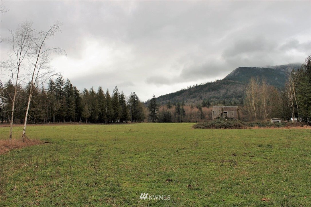7771 Leibrant Road Everson, WA 98247 - Photo 6 of 12