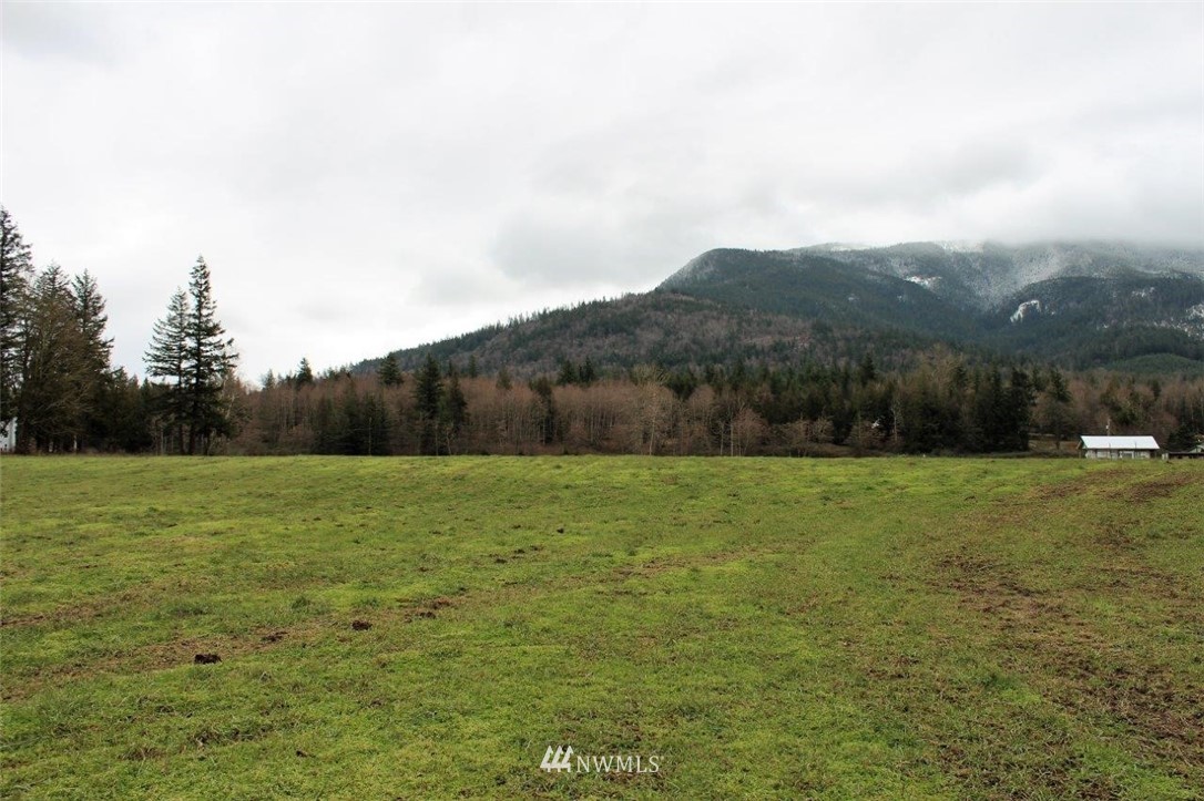 7771 Leibrant Road Everson, WA 98247 - Photo 8 of 12