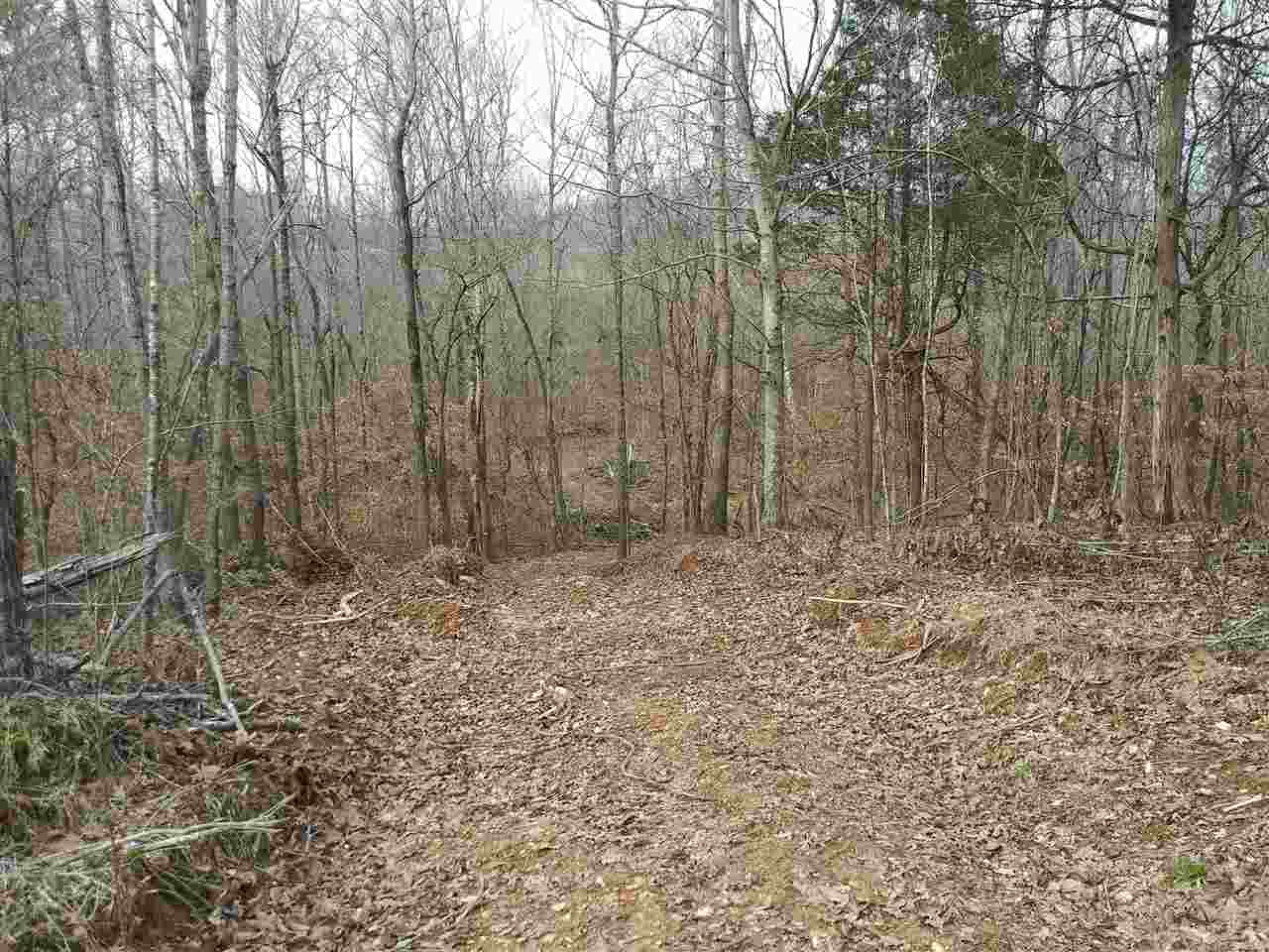 48 Jowers Road Olivehill, TN 38475 - Photo 1 of 17 Gallery Image 1
