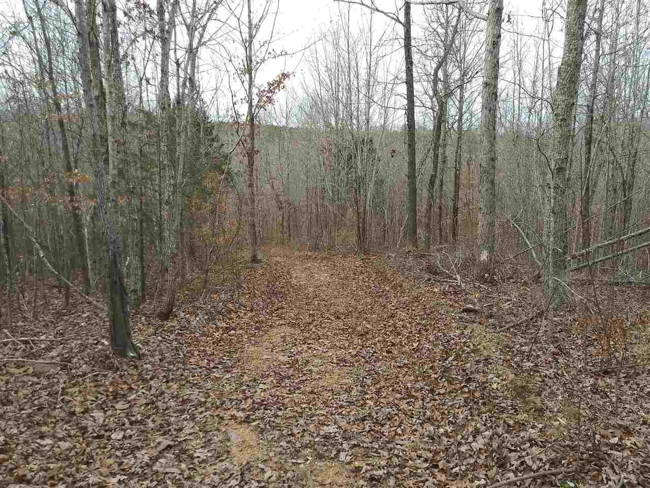 48 Jowers Road Olivehill, TN 38475 - Photo 2 of 17 Gallery Image 2