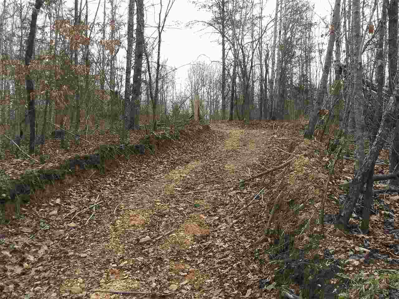 48 Jowers Road Olivehill, TN 38475 - Photo 12 of 17 Gallery Image 12