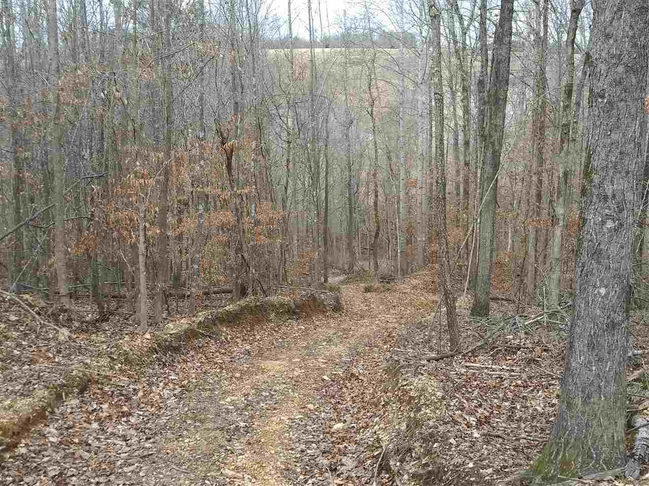 48 Jowers Road Olivehill, TN 38475 - Photo 13 of 17 Gallery Image 13