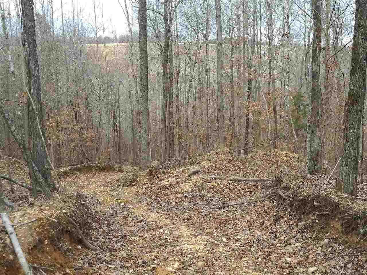 48 Jowers Road Olivehill, TN 38475 - Photo 14 of 17 Gallery Image 14