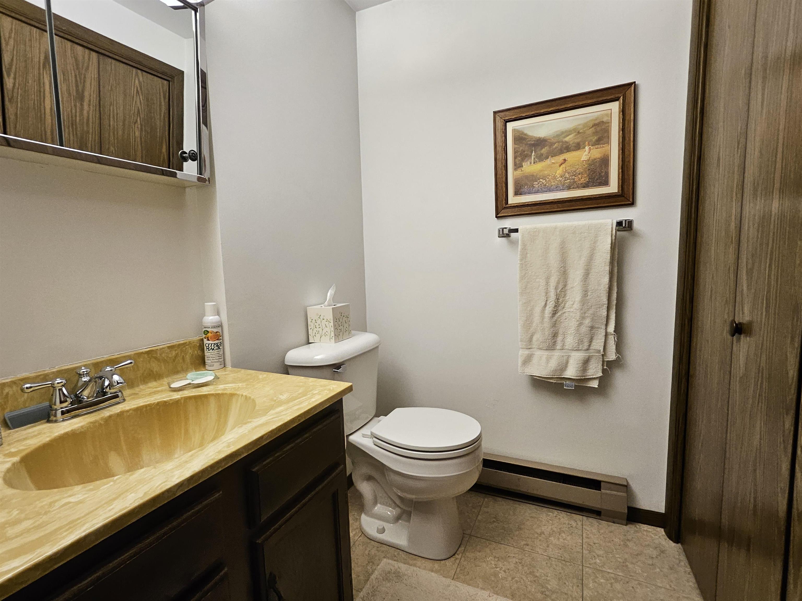 2155 Oriole Drive Freeport, IL 61032 - Photo 9 of 20 a bathroom with a sink a toilet and shower