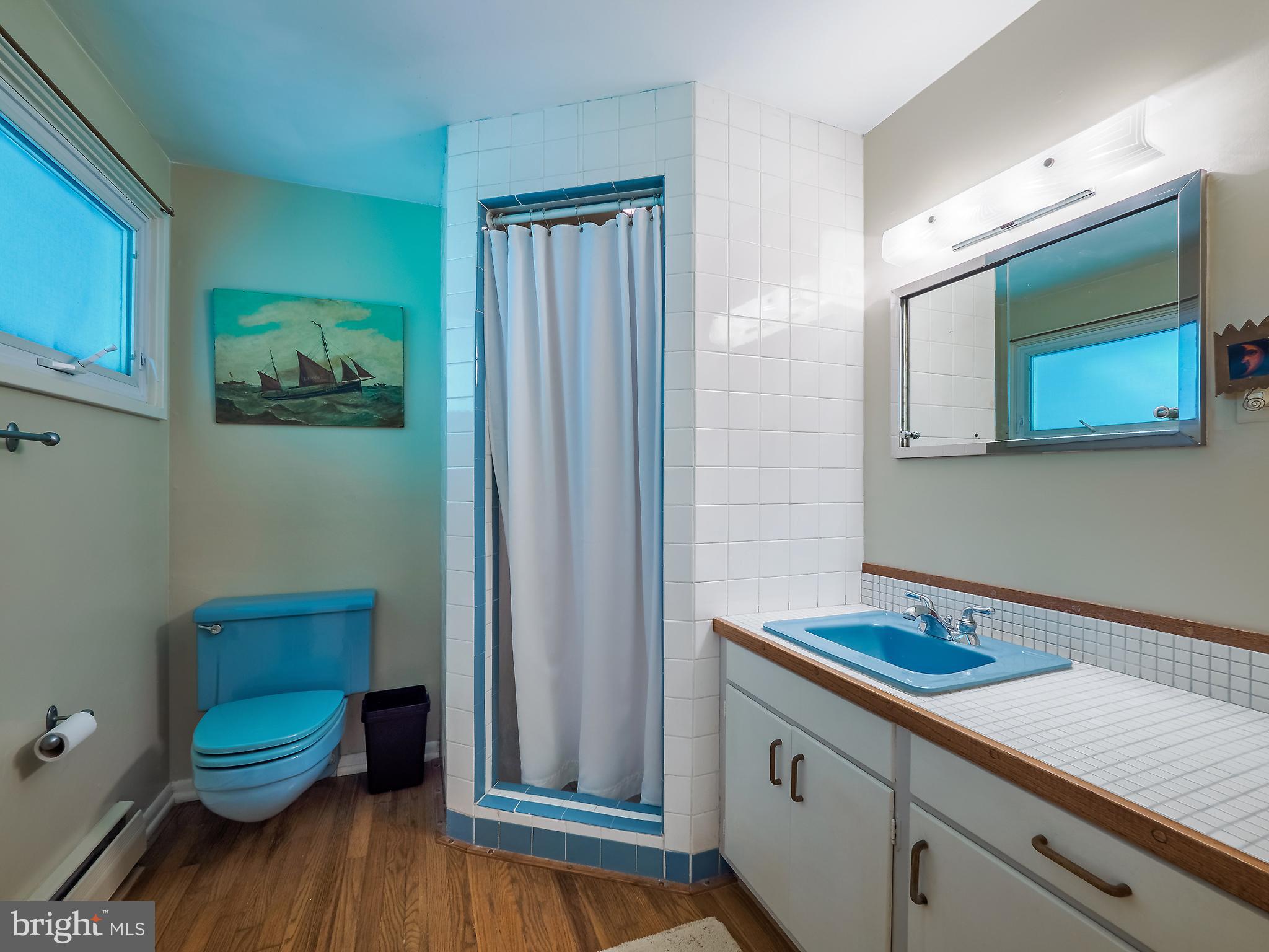 46 Lakeside Drive Greenbelt, MD 20770 - Photo 43 of 72 Primary Bath