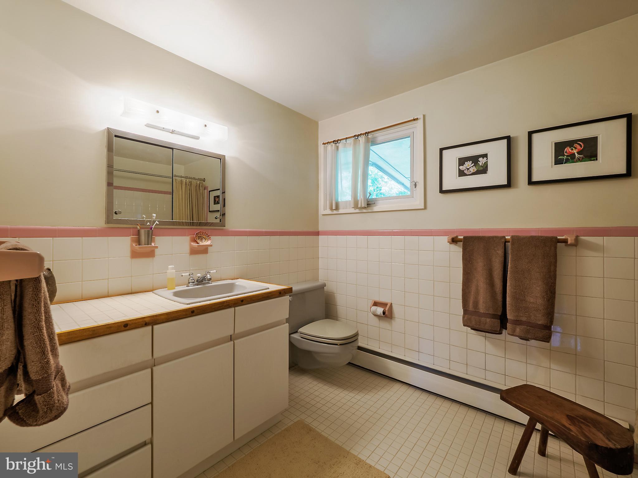 46 Lakeside Drive Greenbelt, MD 20770 - Photo 47 of 72 Full Bath