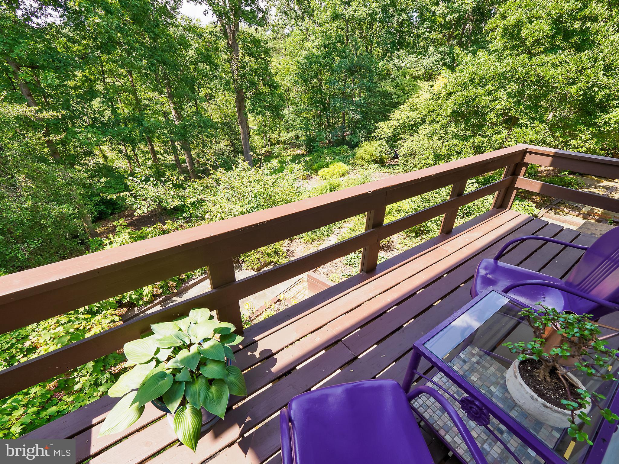 46 Lakeside Drive Greenbelt, MD 20770 - Photo 54 of 72