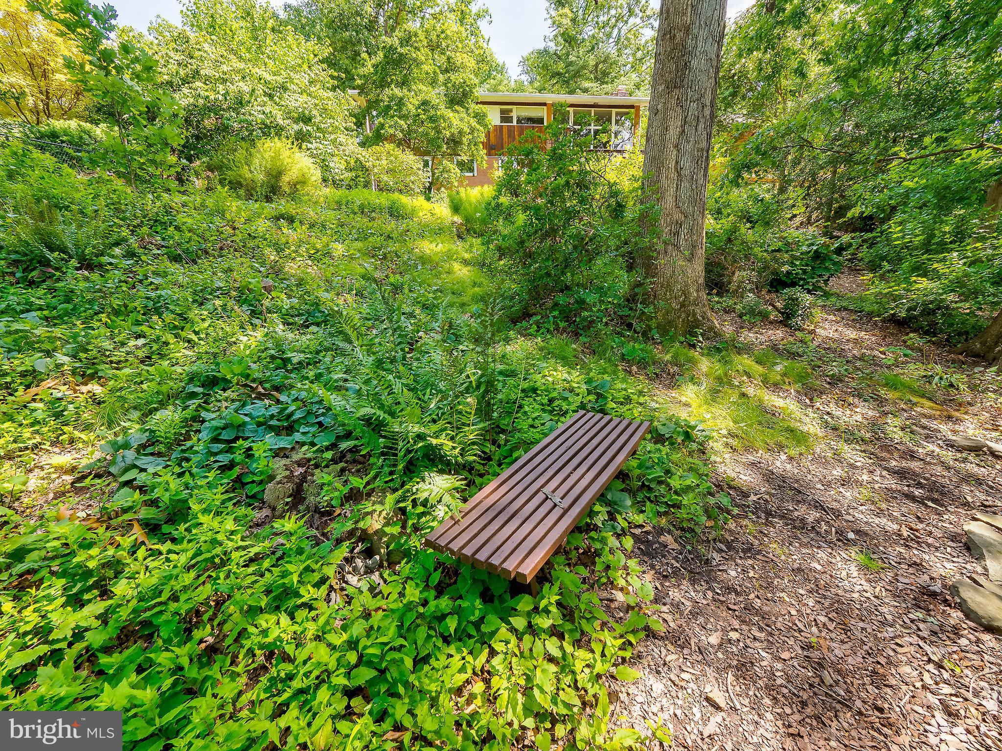 46 Lakeside Drive Greenbelt, MD 20770 - Photo 64 of 72 Rear Exterior