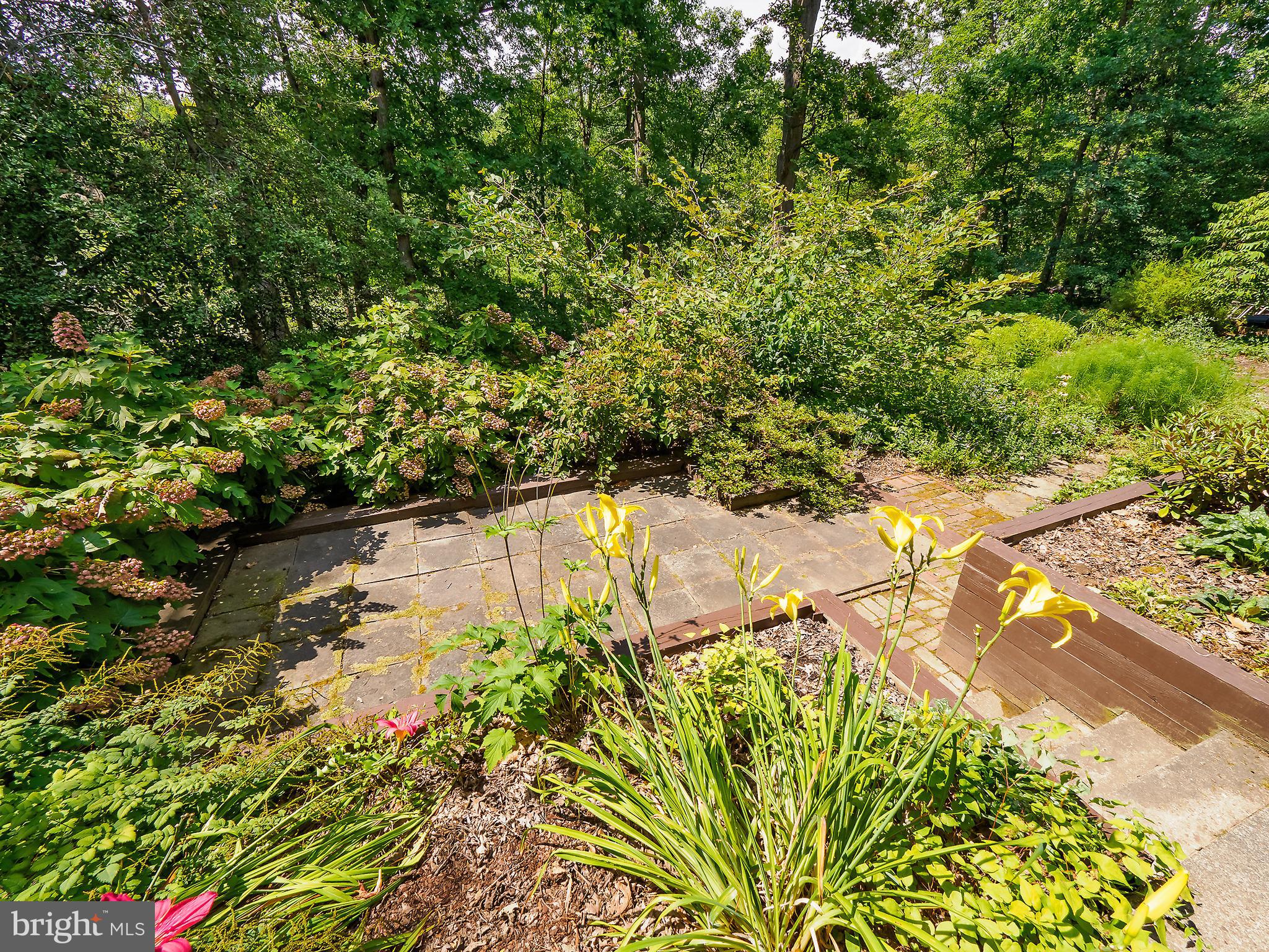 46 Lakeside Drive Greenbelt, MD 20770 - Photo 66 of 72 Rear Exterior