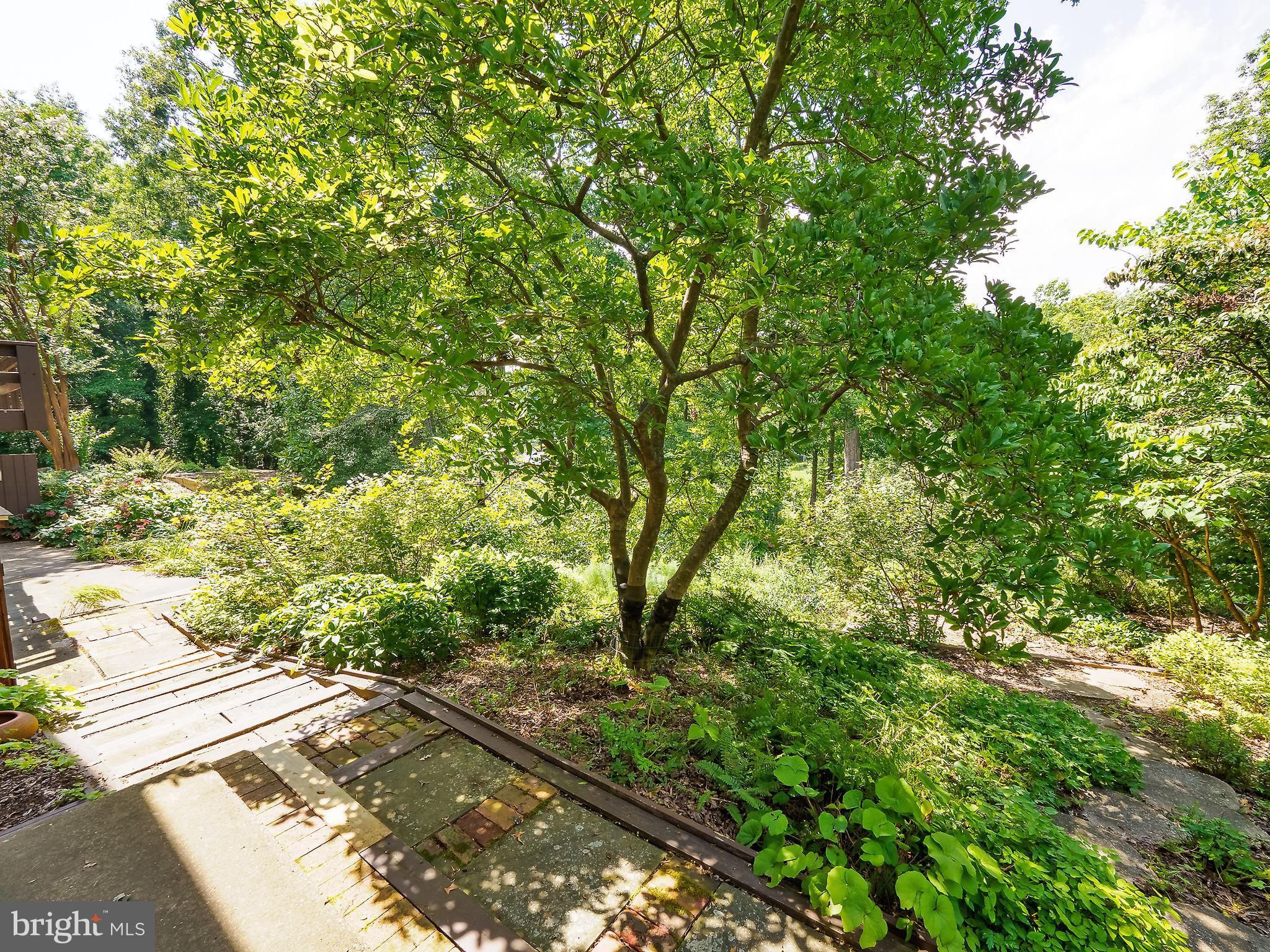 46 Lakeside Drive Greenbelt, MD 20770 - Photo 67 of 72 Rear Exterior