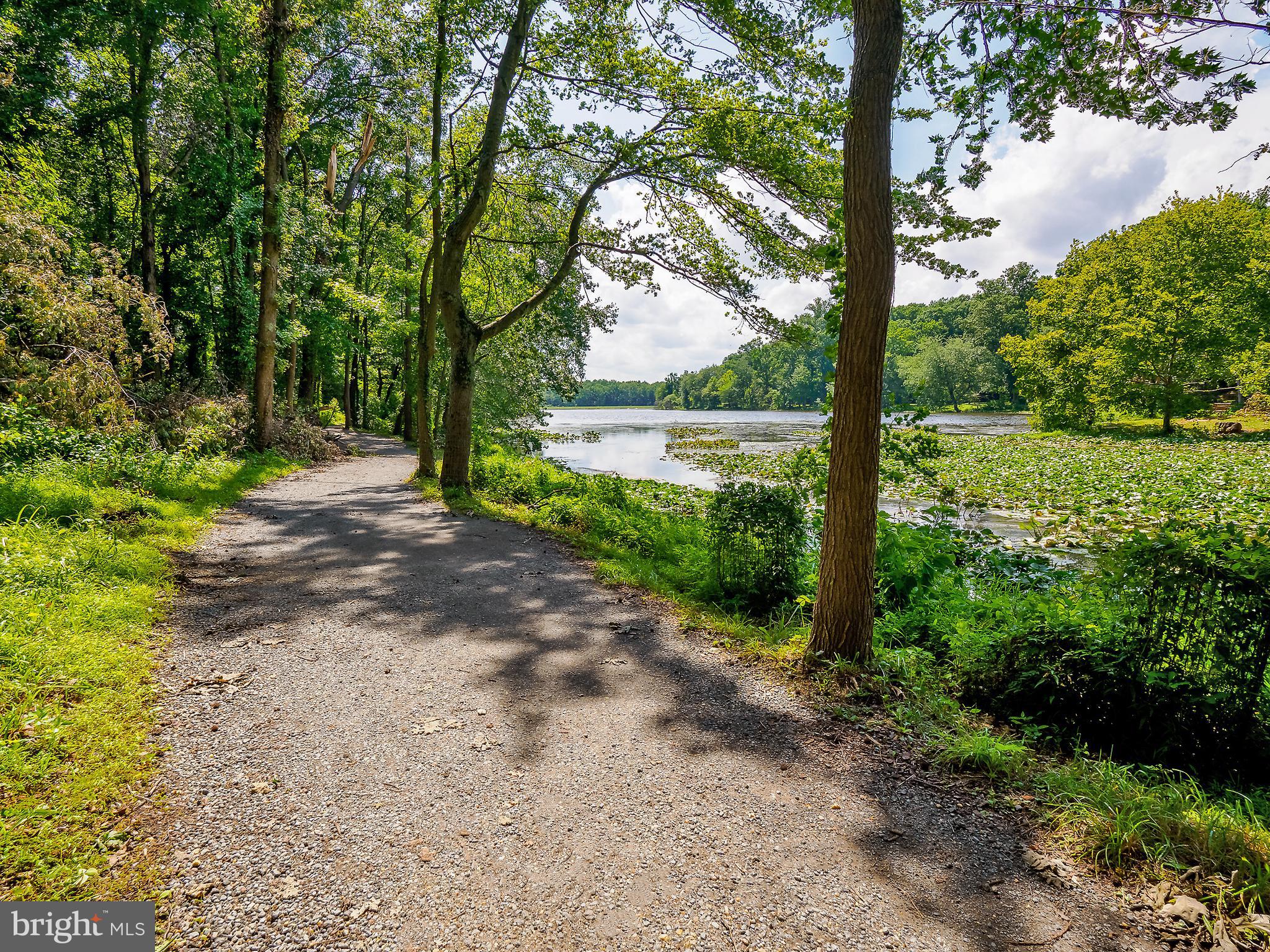 46 Lakeside Drive Greenbelt, MD 20770 - Photo 68 of 72 Path to Lake
