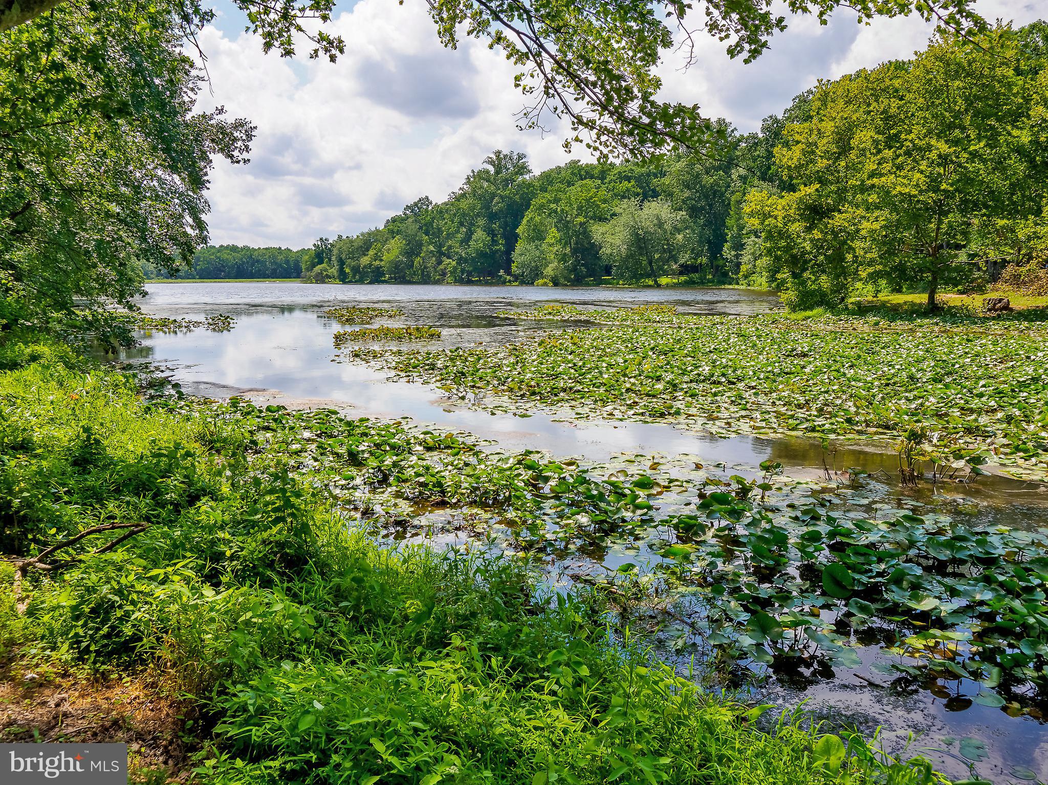 46 Lakeside Drive Greenbelt, MD 20770 - Photo 69 of 72 Lake