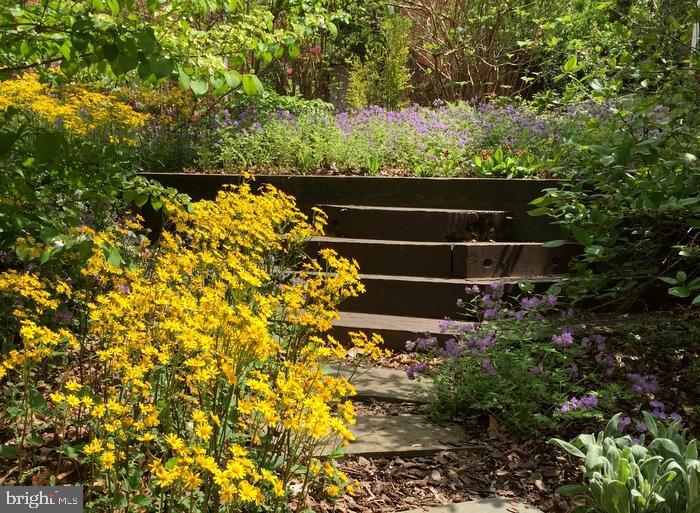 46 Lakeside Drive Greenbelt, MD 20770 - Photo 70 of 72 Owner's garden photo