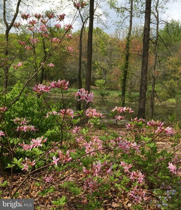 46 Lakeside Drive Greenbelt, MD 20770 - Photo 71 of 72 Owner's garden photo