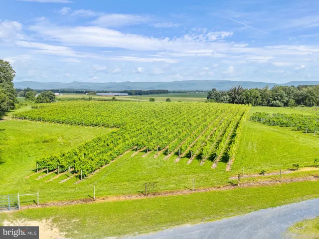 $1,550,000 | 3659 South Ox Road, Edinburg, VA 22824