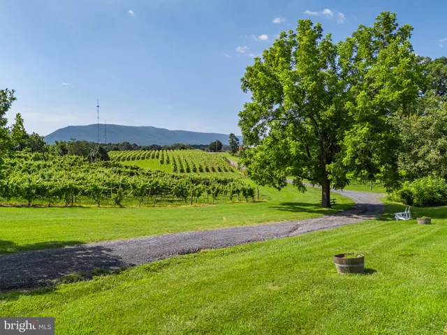 $1,550,000 | 3659 South Ox Road, Edinburg, VA 22824