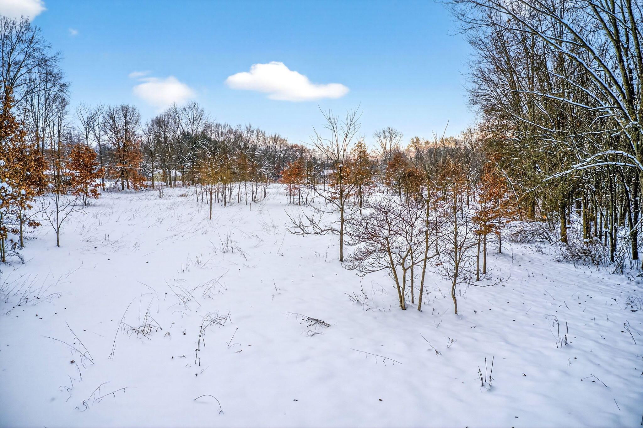 3 Garver Lake Road Edwardsburg, MI 49112 - Photo 20 of 32 Garver Lake Rd-20