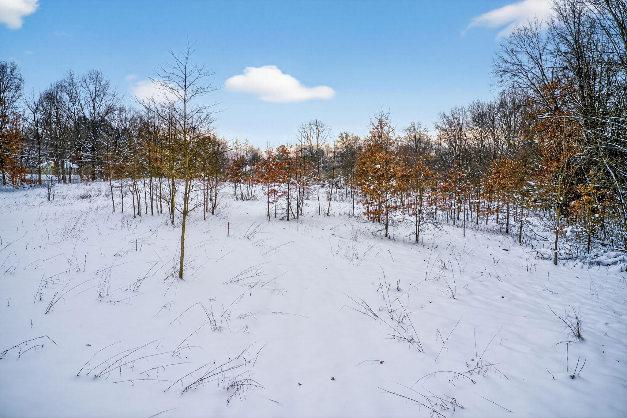 3 Garver Lake Road Edwardsburg, MI 49112 - Photo 23 of 32 Garver Lake Rd-23