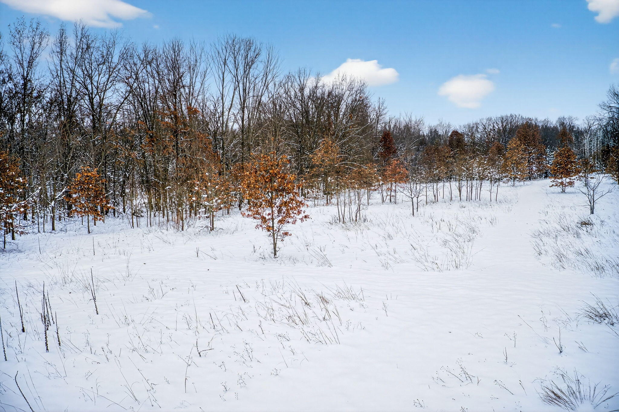 3 Garver Lake Road Edwardsburg, MI 49112 - Photo 7 of 32 Garver Lake Rd-7