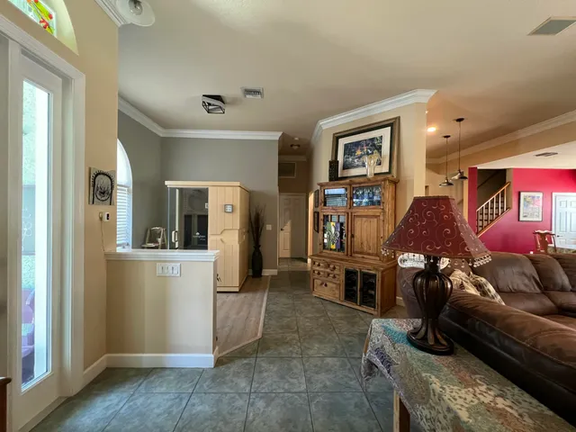 a close up of a plant in a garden