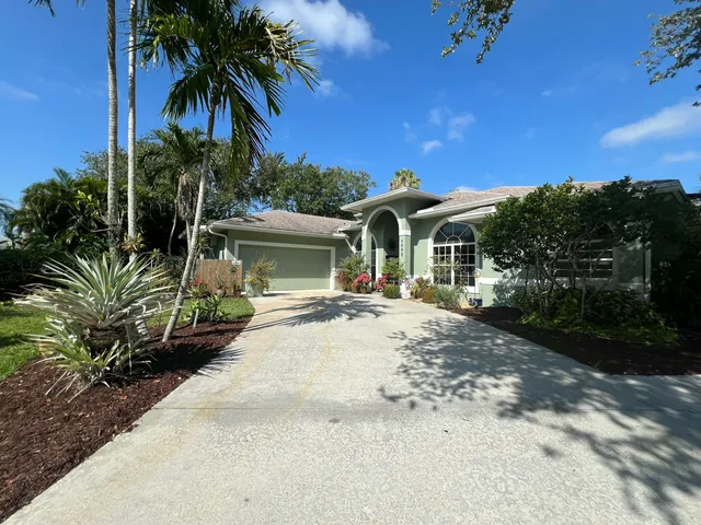 a view of a yard with plants and a large tree