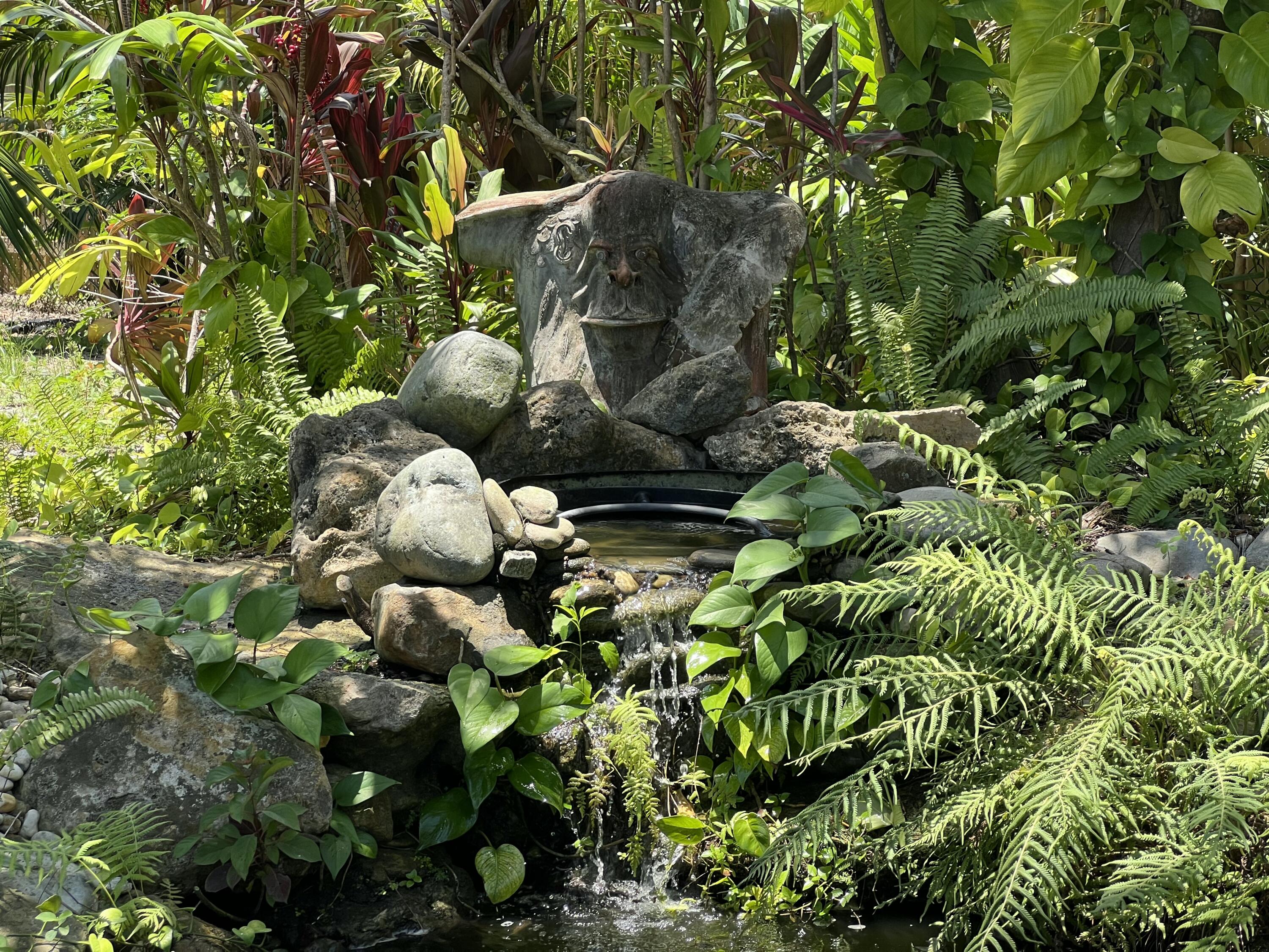 4292 Southeast Rainbows End Stuart, FL 34997 - Photo 49 of 53 Waterfall Feature W/Fish Pond2975