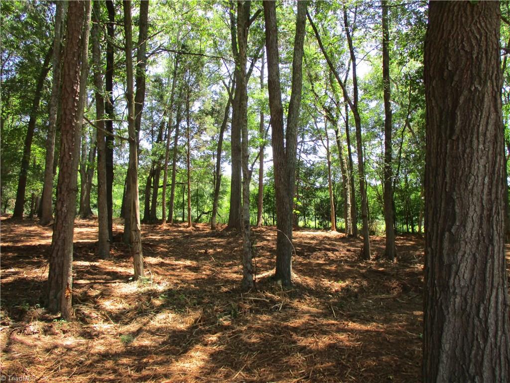 1822 Waterford Pointe Road Lexington, NC 27292 - Photo 7 of 8 Gallery Image 7