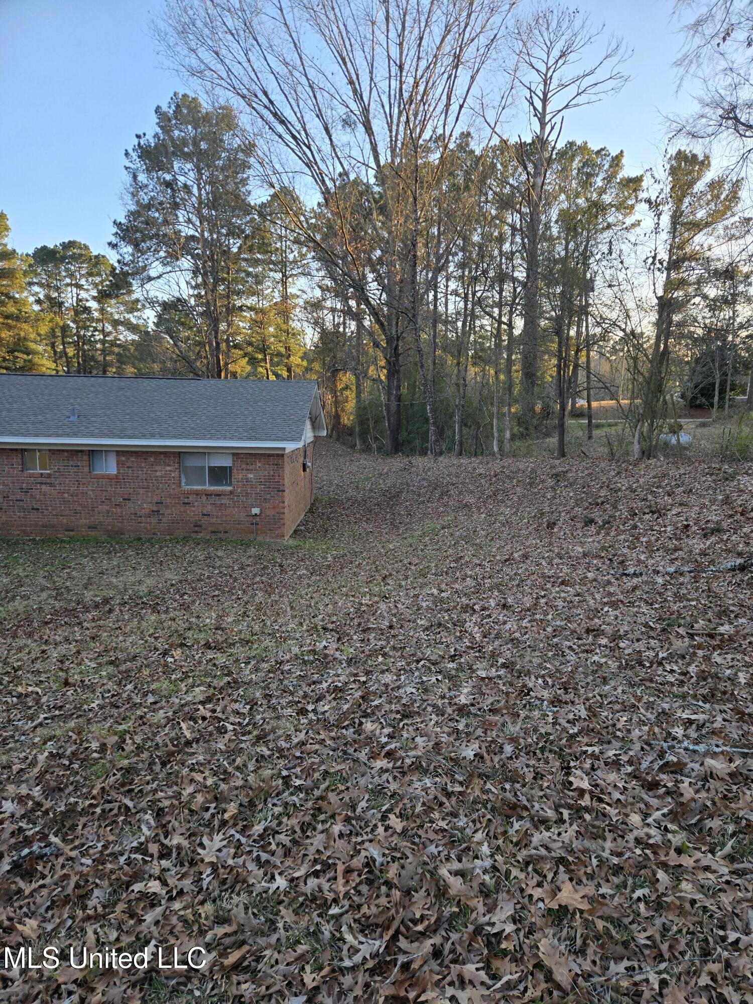 3553 Jones Loop Road Terry, MS 39170 - Photo 5 of 19 3553 Jones Loop - #5