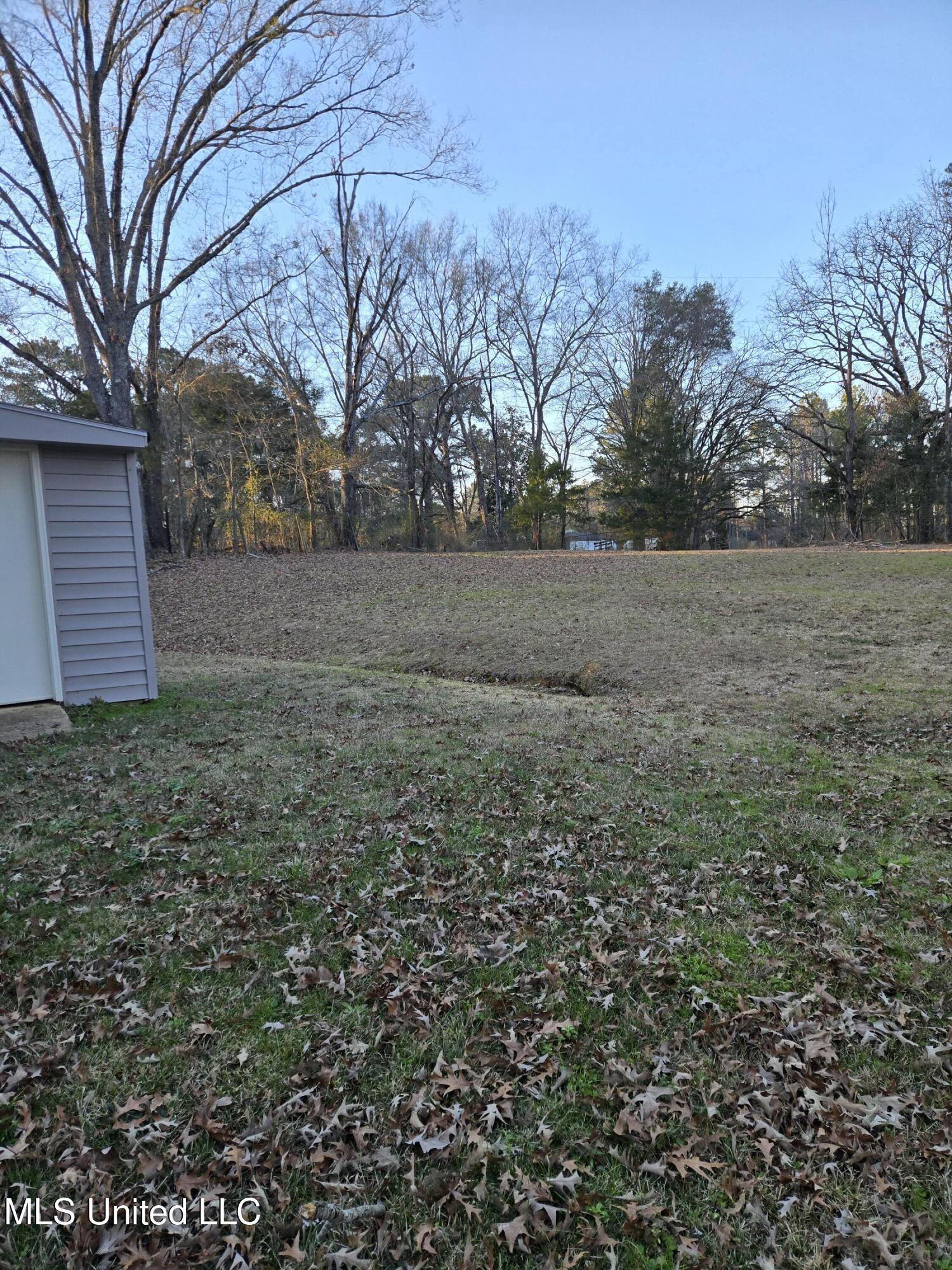 3553 Jones Loop Road Terry, MS 39170 - Photo 6 of 19 3553 Jones Loop - #6